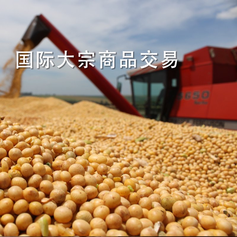 贸易之桥:综合性贸易在现代经济中的崭新画卷